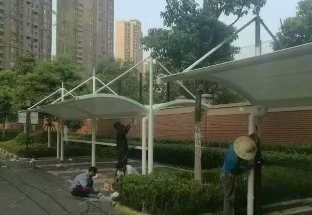ϷʻĤṹͣ